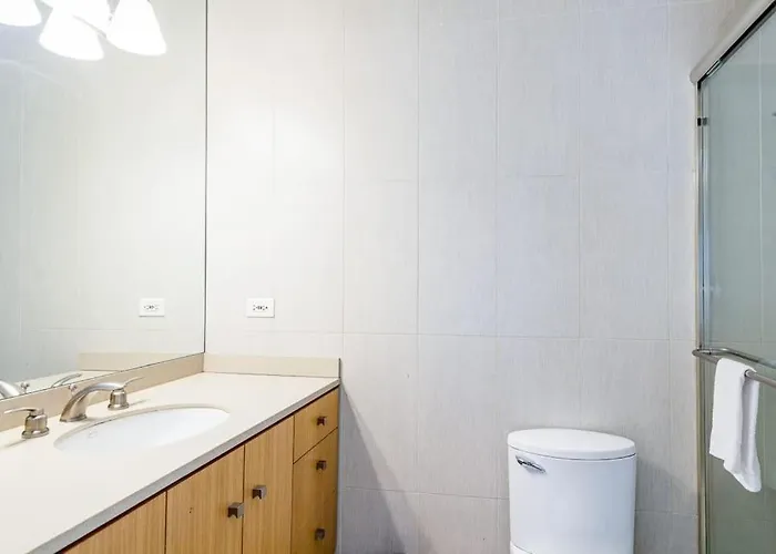 Apartment Cozy Beautiful Downtown Unit Chi In Prime River North Location Near Mag Mile - 1 *